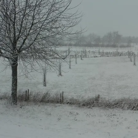 Vakantie Studio Eijsden 3*