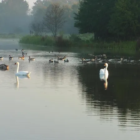 Vakantie Studio Eijsden Bed and Breakfast