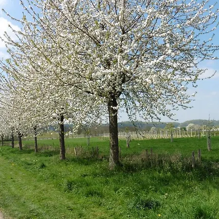 Alojamento de Acomodação e Pequeno-almoço Vakantie Studio Eijsden