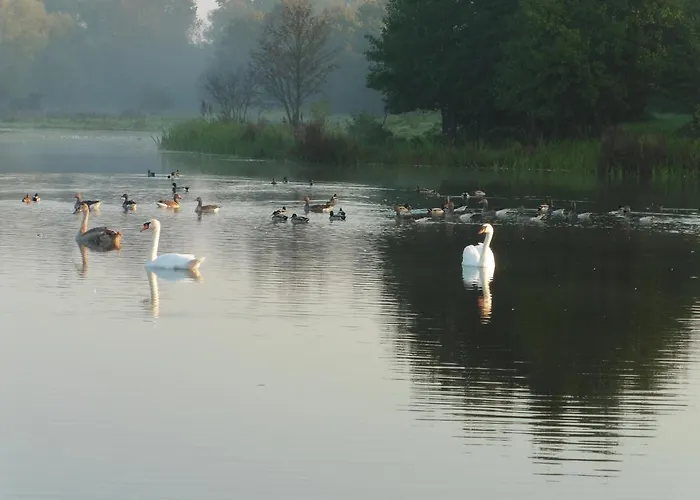 Vakantie Studio Eijsden فندق مبيت وإفطار