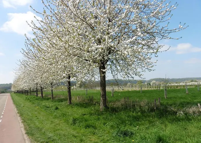 فندق مبيت وإفطار Vakantie Studio Eijsden