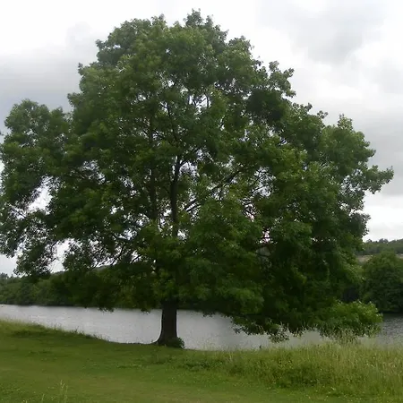 Vakantie Studio Eijsden Bed & Breakfast Eijsden