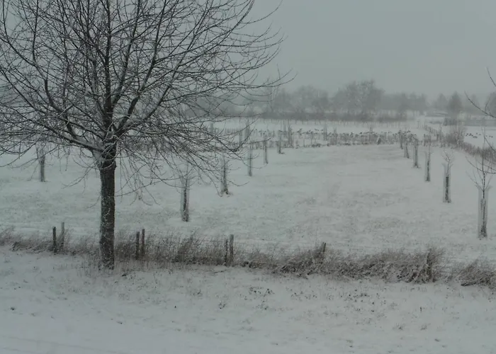 Vakantie Studio Eijsden 3*