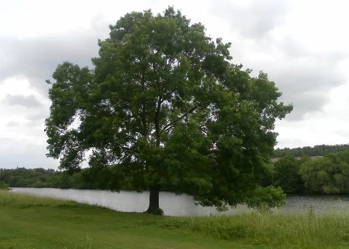 Vakantie Studio Eijsden Отель типа 